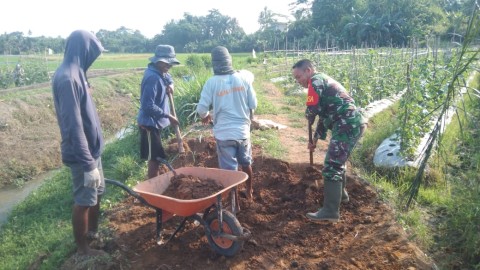 Babinsa Koramil 406-09/Terawas Gotong Royong Bersama Petani Bangun Jalan Usaha Tani di Desa Sumber Asri