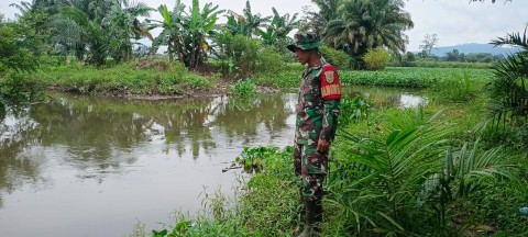 BABINSA SERKA WAHYUDI AKTIF PEMANTAU DEBIT AIR UNTUK ANTISIPASI BANJIR DI DESA KALIBENIG