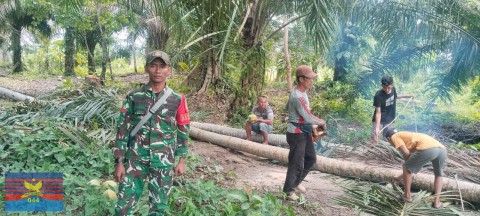 Babinsa Koramil 406-02/Rawas Ilir Hadir di Tengah Masyarakat, Gotong Royong Bersama Warga Desa Pauh Tebang Pohon
