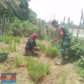 Babinsa Koramil 406-03/Rupit Bantu Warga Siapkan Bibit Padi Darat dan Media Tanam di Desa Embacang Baru Ilir